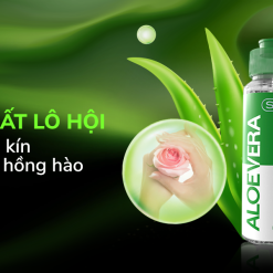 Gel bôi trơn tinh chất lô hội Shell Aloe Vera 100ml mát dịu dưỡng ẩm